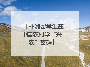 非洲留学生在中国农村学“兴农”密码