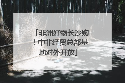 非洲好物长沙购！中非经贸总部基地对外开放