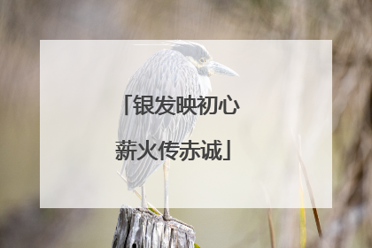 银发映初心 薪火传赤诚