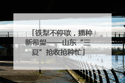 铁犁不停歇，播种新希望——山东“三夏”抢收抢种忙