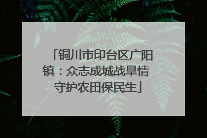 铜川市印台区广阳镇：众志成城战旱情 守护农田保民生