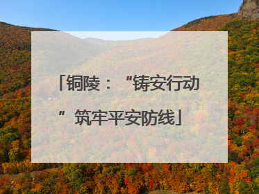 铜陵：“铸安行动”筑牢平安防线