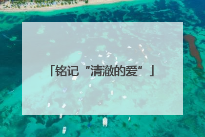 铭记“清澈的爱”