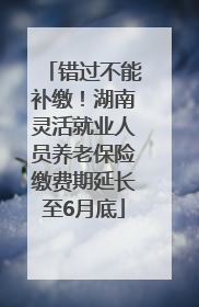 错过不能补缴！湖南灵活就业人员养老保险缴费期延长至6月底