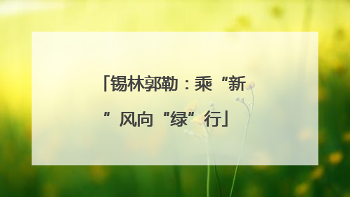 锡林郭勒：乘“新”风向“绿”行