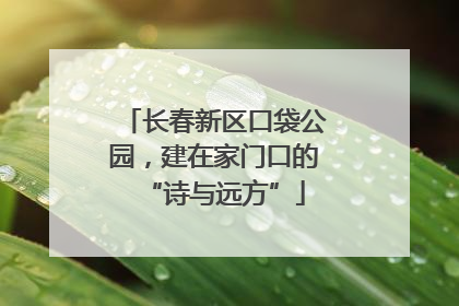 长春新区口袋公园，建在家门口的“诗与远方”