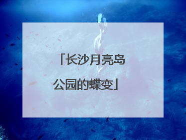 长沙月亮岛公园的蝶变