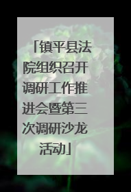镇平县法院组织召开调研工作推进会暨第三次调研沙龙活动
