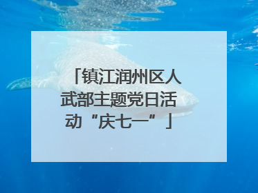 镇江润州区人武部主题党日活动“庆七一”