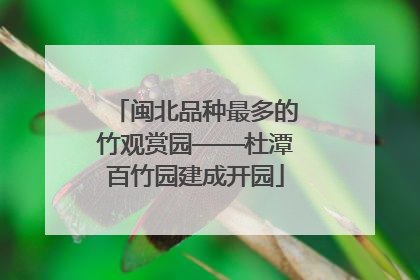 闽北品种最多的竹观赏园——杜潭百竹园建成开园