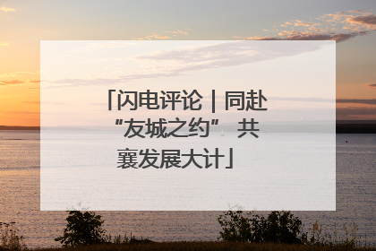 闪电评论｜同赴“友城之约” 共襄发展大计