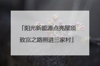 阳光新能源点亮屋顶 致富之路照进三家村