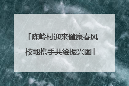 陈岭村迎来健康春风 校地携手共绘振兴图