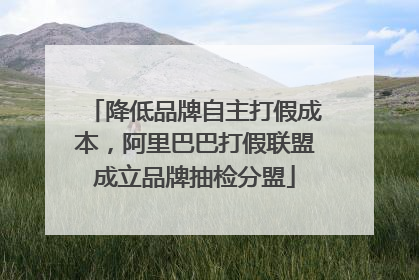 降低品牌自主打假成本，阿里巴巴打假联盟成立品牌抽检分盟