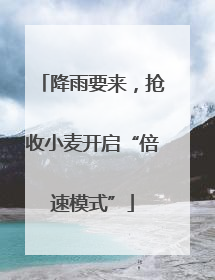 降雨要来，抢收小麦开启“倍速模式”
