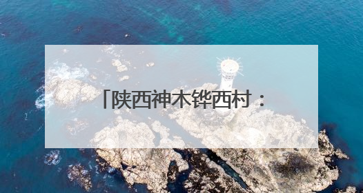 陕西神木铧西村：花卉产业让美丽资源变身“致富密码”