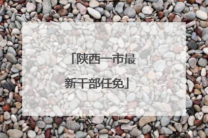 陕西一市最新干部任免