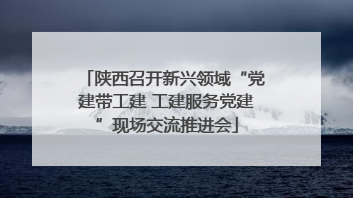 陕西召开新兴领域“党建带工建 工建服务党建”现场交流推进会