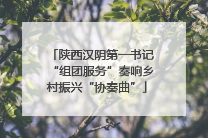 陕西汉阴第一书记“组团服务”奏响乡村振兴“协奏曲”