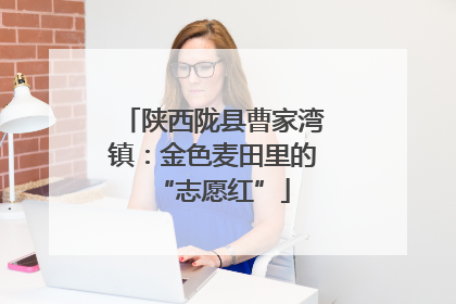 陕西陇县曹家湾镇：金色麦田里的“志愿红”