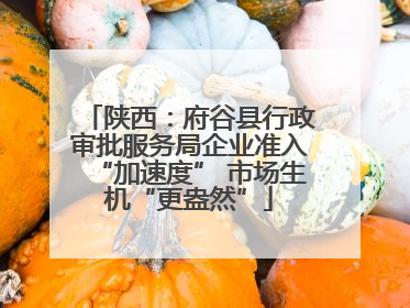 陕西：府谷县行政审批服务局企业准入“加速度” 市场生机“更盎然”