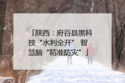 陕西：府谷县黑科技“水利全开” 智慧脑“精准防灾”