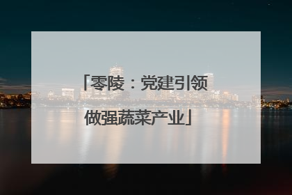 零陵：党建引领 做强蔬菜产业