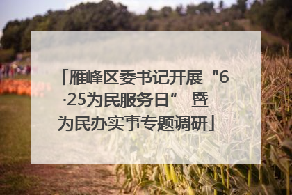 雁峰区委书记开展“6·25为民服务日” 暨为民办实事专题调研