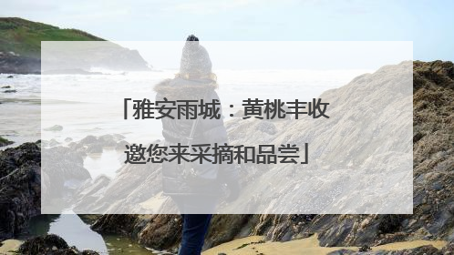 雅安雨城：黄桃丰收 邀您来采摘和品尝