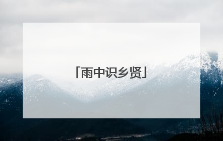 雨中识乡贤