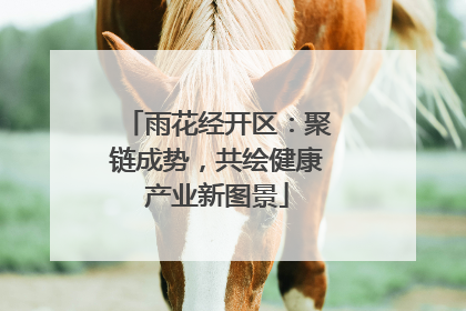 雨花经开区：聚链成势，共绘健康产业新图景