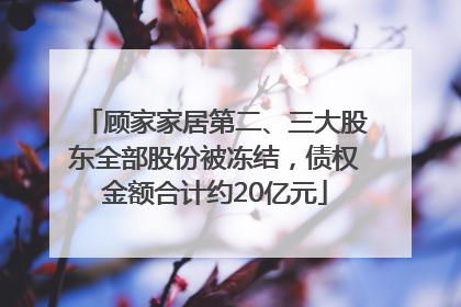 顾家家居第二、三大股东全部股份被冻结，债权金额合计约20亿元
