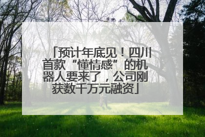 预计年底见！四川首款“懂情感”的机器人要来了，公司刚获数千万元融资