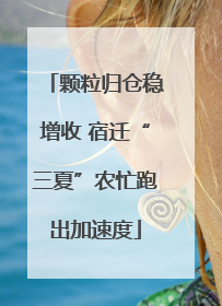 颗粒归仓稳增收 宿迁“三夏”农忙跑出加速度