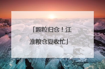 颗粒归仓！江淮粮仓夏收忙