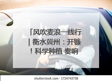风吹麦浪一线行｜衡水冀州：开镰！科学种植 奏响丰收序曲