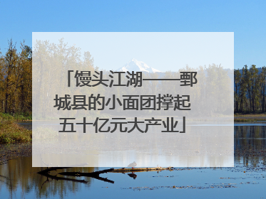 馒头江湖——鄄城县的小面团撑起五十亿元大产业
