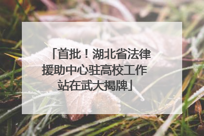 首批！湖北省法律援助中心驻高校工作站在武大揭牌