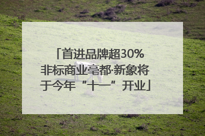 首进品牌超30% 非标商业亳都·新象将于今年“十一”开业