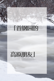 首钢园的高原朋友