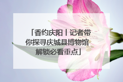 香约庆阳丨记者带你探寻庆城县博物馆 解锁必看重点