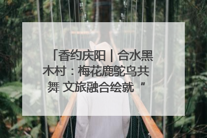 香约庆阳｜合水黑木村：梅花鹿鸵鸟共舞 文旅融合绘就“诗与远方”