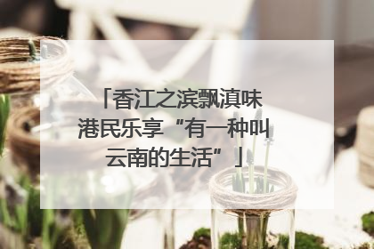 香江之滨飘滇味 港民乐享“有一种叫云南的生活”