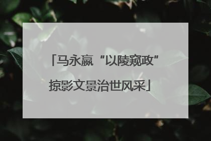 马永嬴“以陵窥政” 掠影文景治世风采