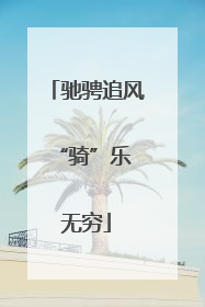 驰骋追风 “骑”乐无穷