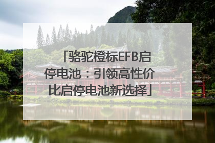 骆驼橙标EFB启停电池：引领高性价比启停电池新选择