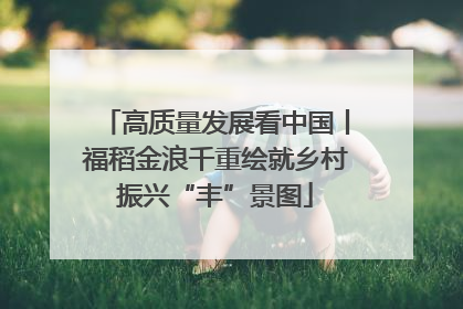 高质量发展看中国丨福稻金浪千重绘就乡村振兴“丰”景图