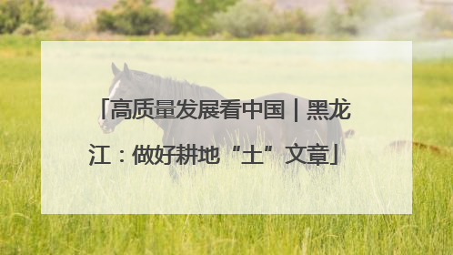 高质量发展看中国｜黑龙江：做好耕地“土”文章