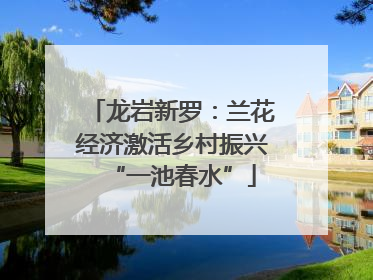 龙岩新罗：兰花经济激活乡村振兴“一池春水”