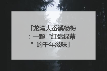 龙湾大岙溪杨梅：一颗“红盘绿蒂”的千年滋味